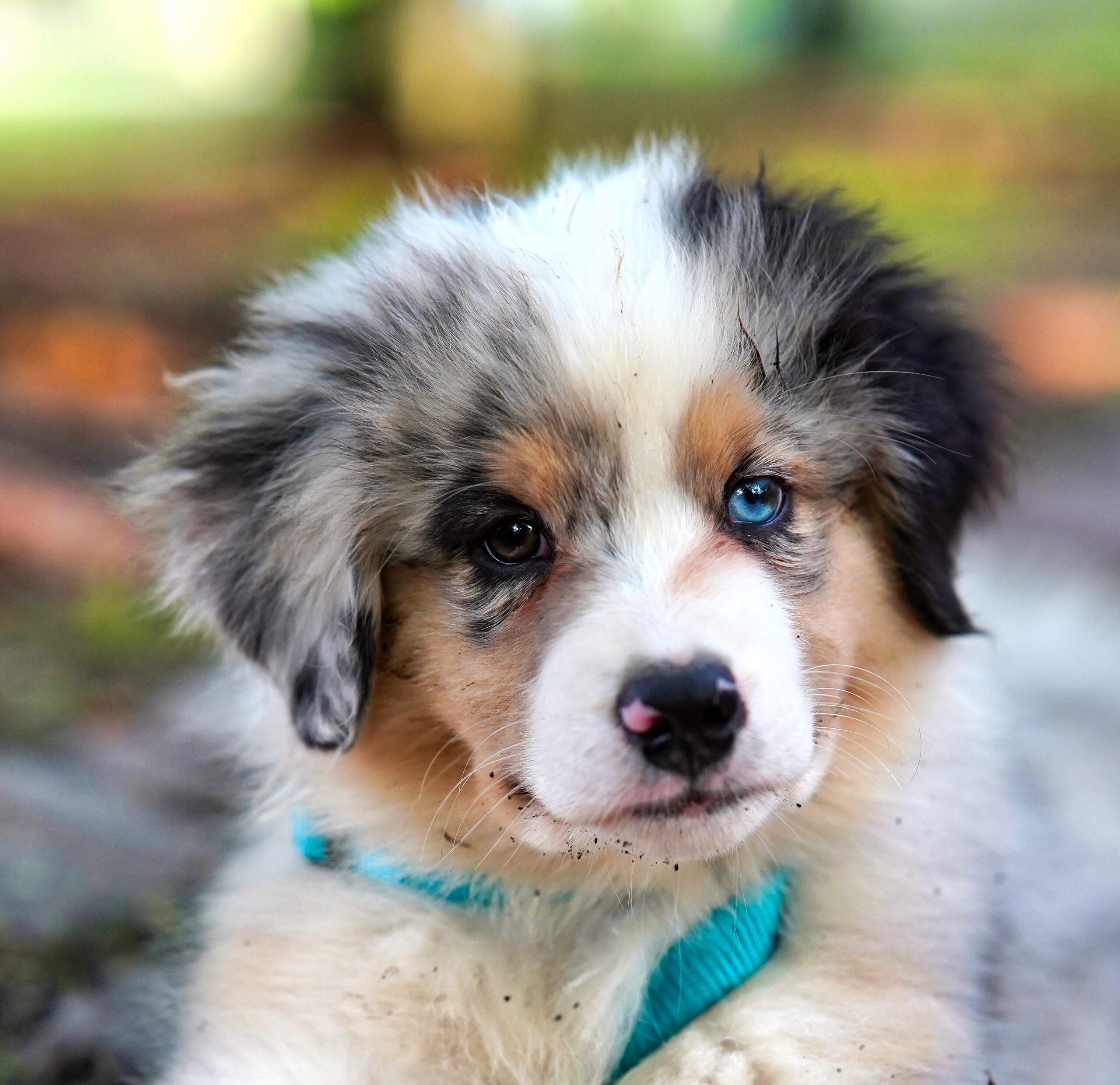 mathis-jrdl-5yAhL8ViUVg-unsplash
