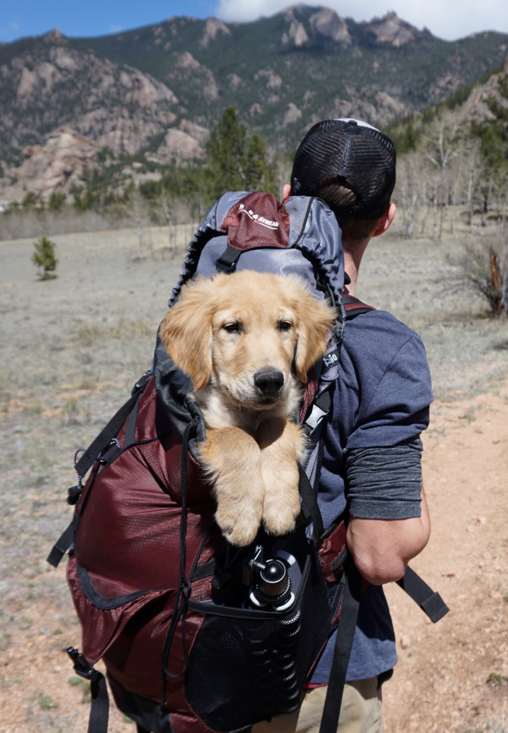 the adventurer 3
